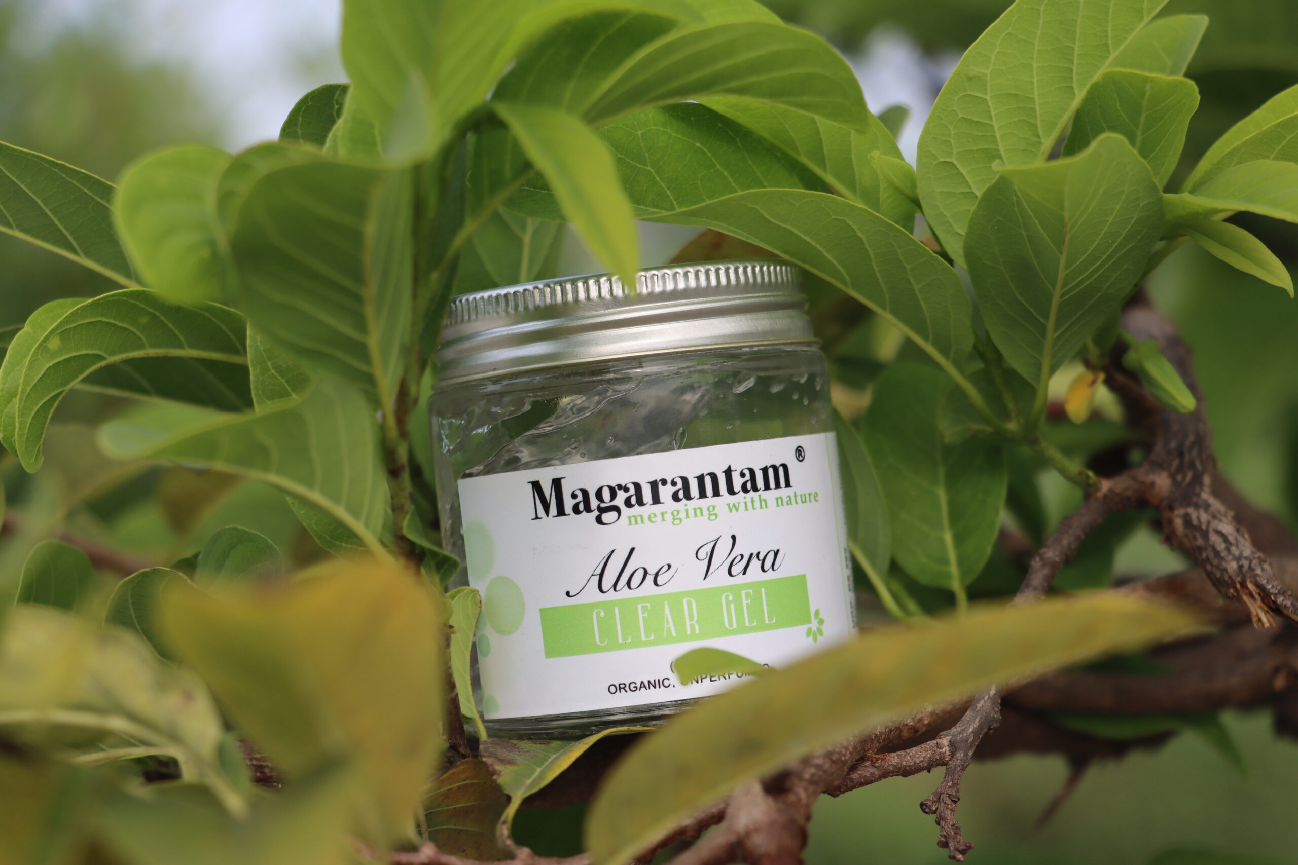 Aloe Vera Gel - Image 2